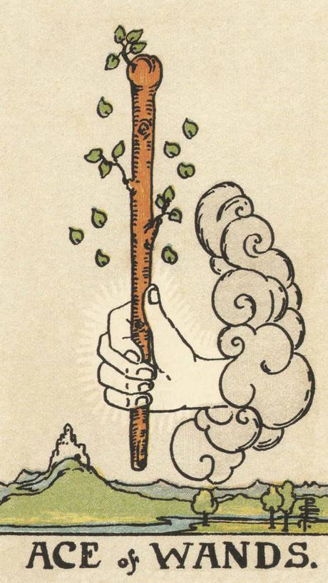 Ace of Wands